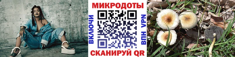 mega зеркало  Усмань  Галлюциногенные грибы Cubensis 